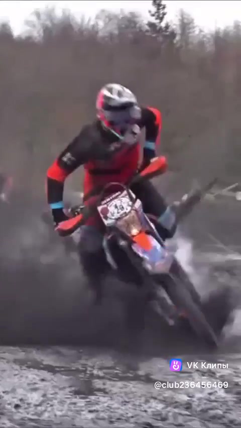 Чат