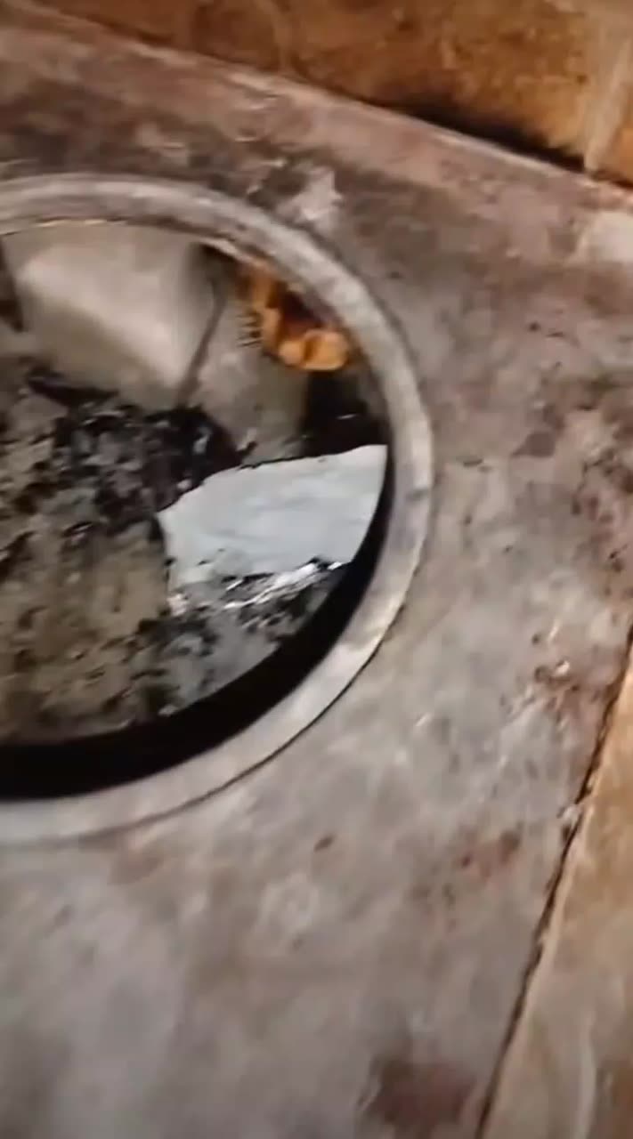 Чат