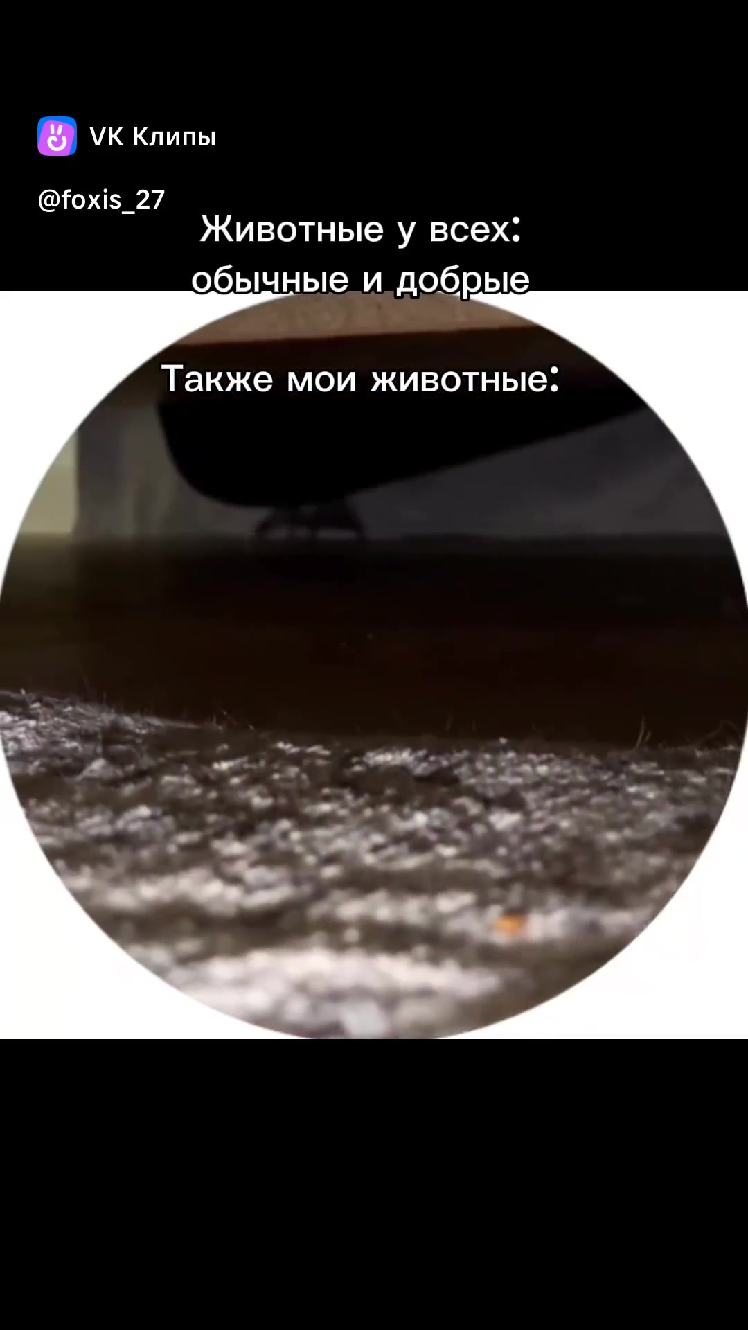 Обычный день