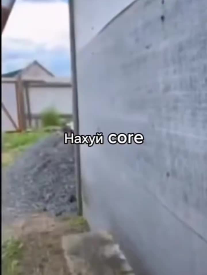 смешные моменты