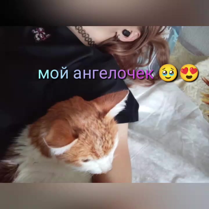 Чат