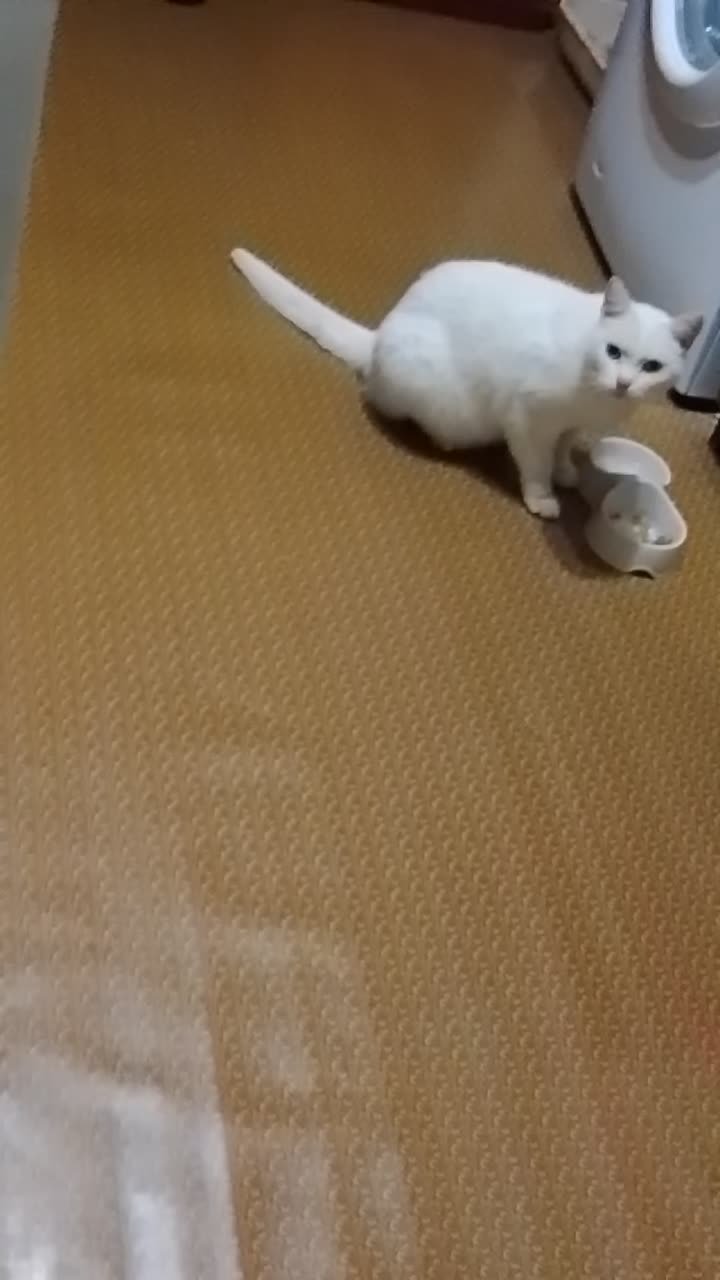 Как напоминает персика 🥺