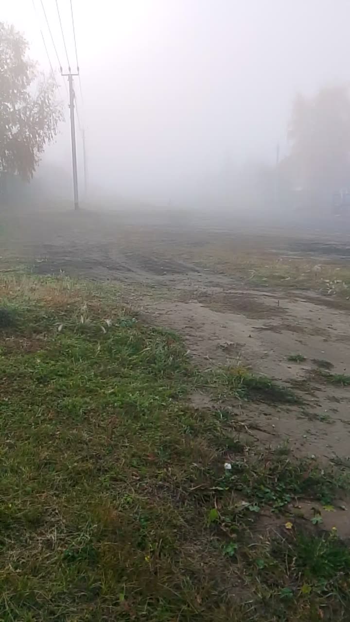 Наш утренний туман✌️