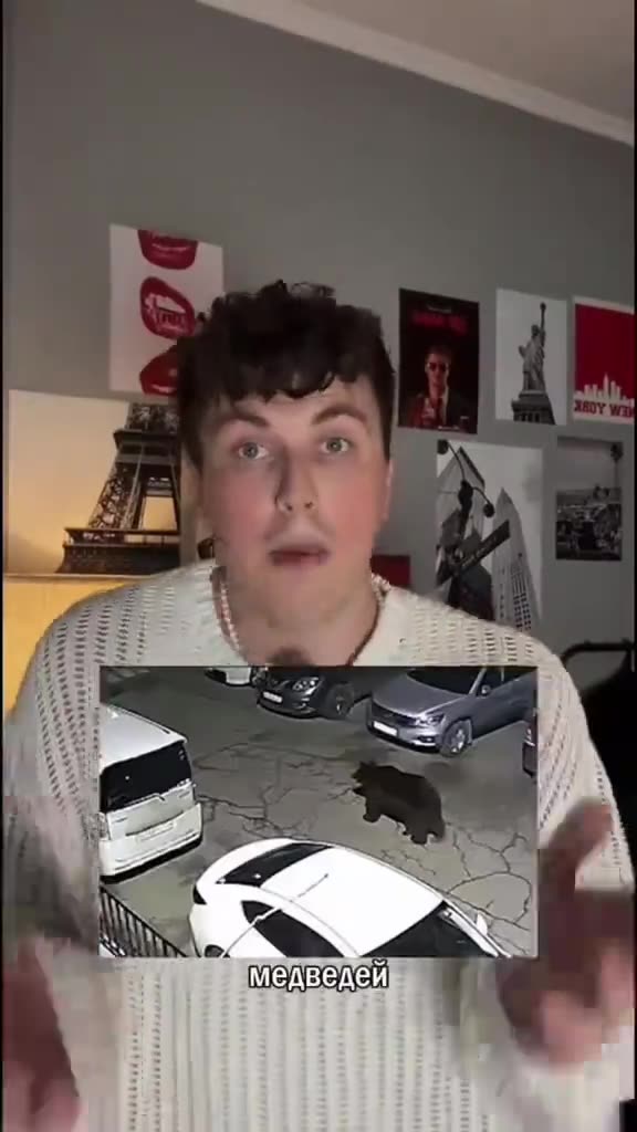 Чат