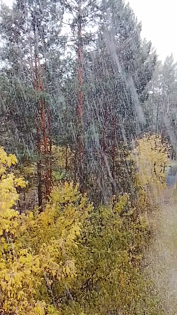 У меня снег пошёл 🥳🤩😍