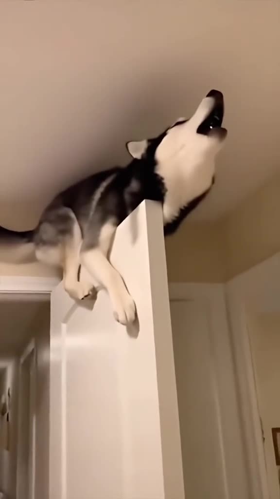 Милашки🥰