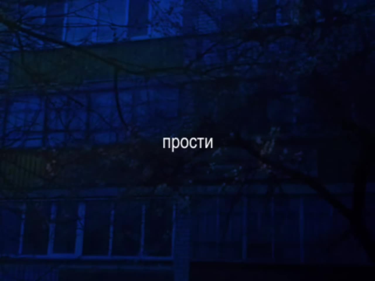 Чат