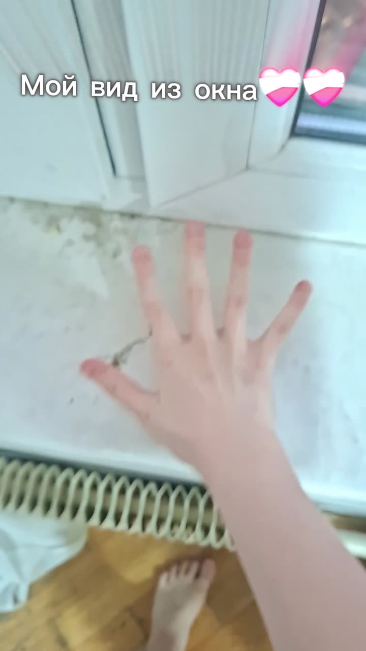Чат