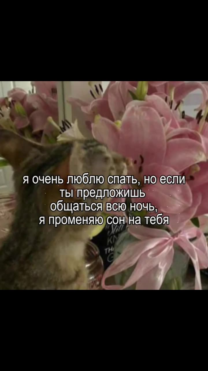 Ну да