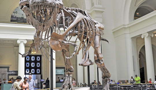 Chicago in the Modern Era: Leadership, Resilience, and Progress