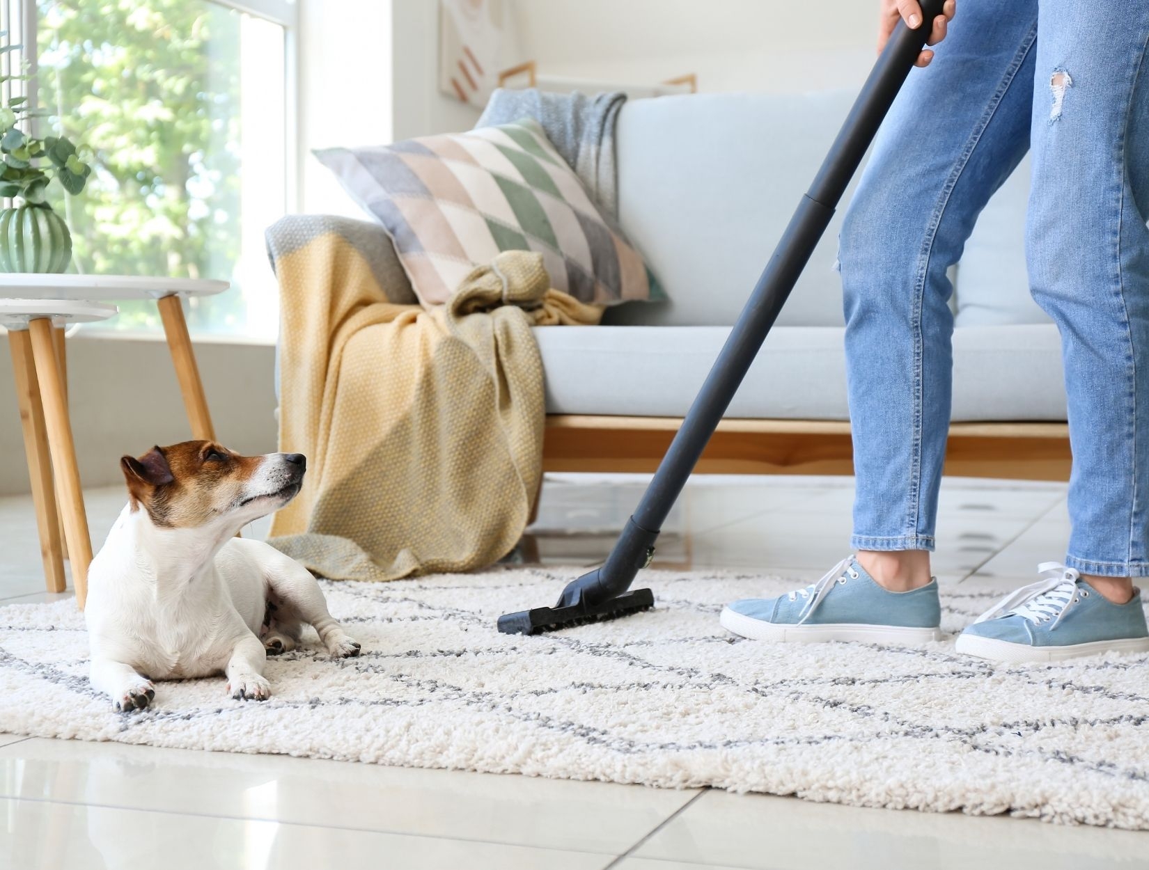 Contact Us for Free Cleaning Estimates Today