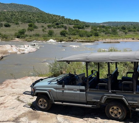 Big Game Parks Announces Exciting Line-Up of 2026 in Eswatini’s Premier Wildlife Reserves