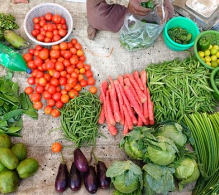 Agriculture – Rising Demand for Organic Products Strengthens Export Markets