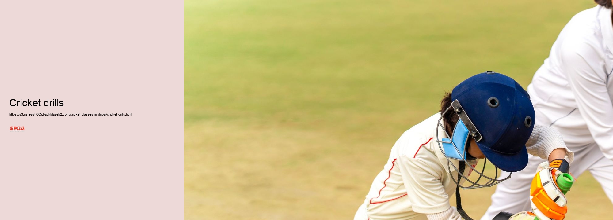 cricket drills
