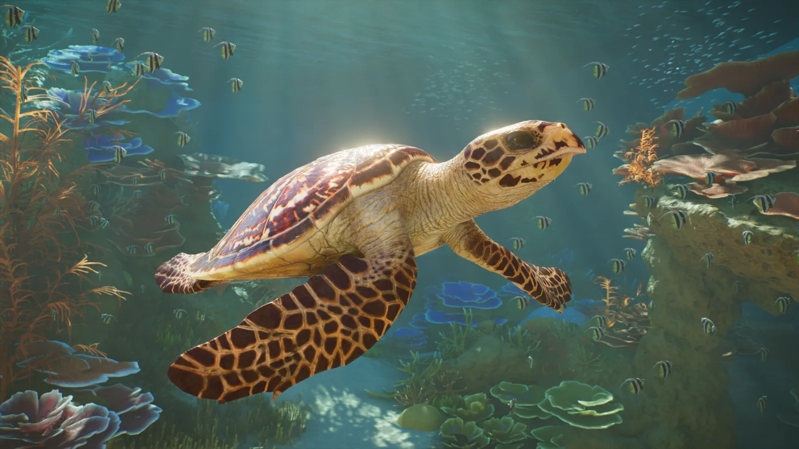 Planet Zoo 2 official screenshot showing flying bird exhibits over a forested biome with guest pathways