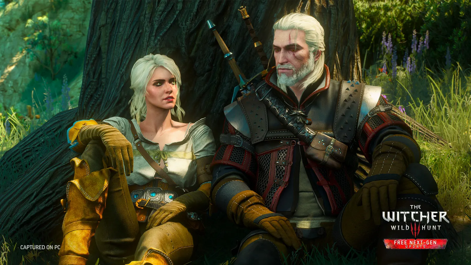 The Witcher 3: Wild Hunt official Steam screenshot showing a wide vista of the Northern Realms