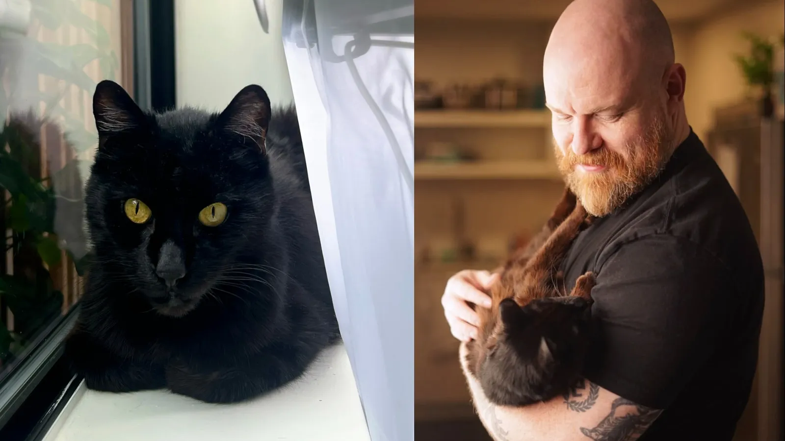 Overwatch sound designer Nicholas Yochum with his cat Jack who provided the meow sounds for the Nyan Cafe skins