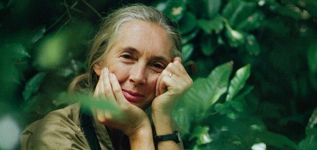 Dr. Jane Goodall