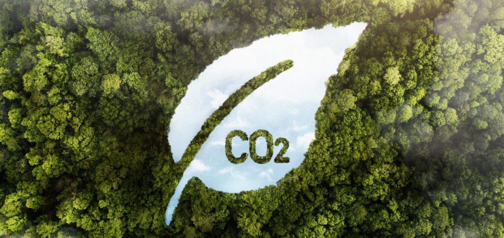 mercado de carbono, créditos de carbono