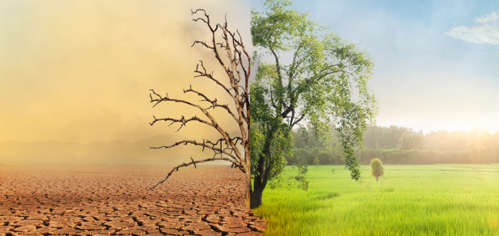crise climática