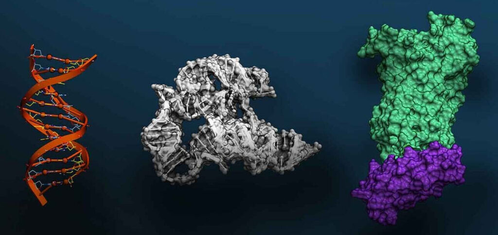 Evo 2: O maior modelo de IA para biologia