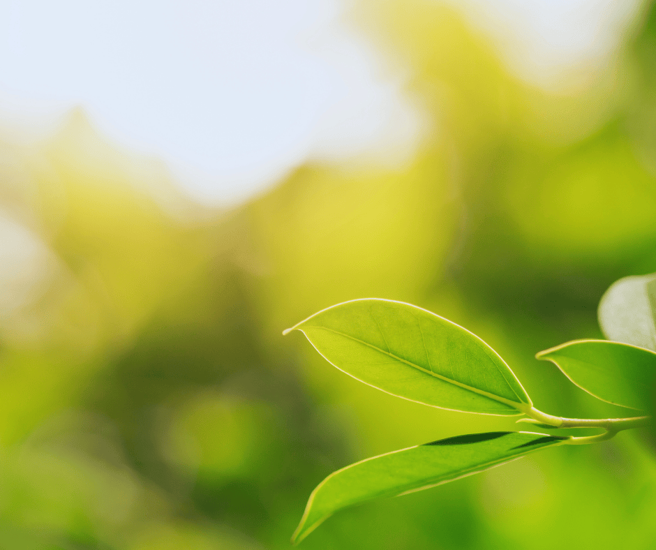 Common Signs You Need Emergency AC Repair This Summer