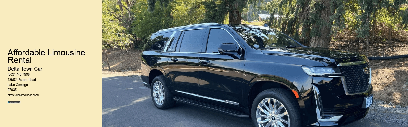 Affordable Limousine Rental