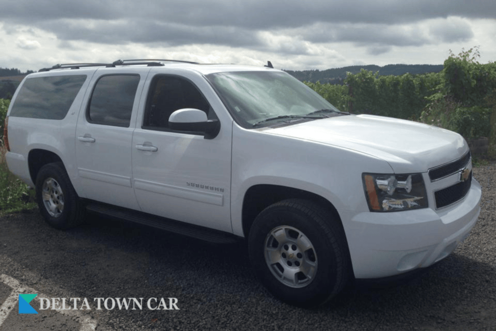 VIP Transportation Services