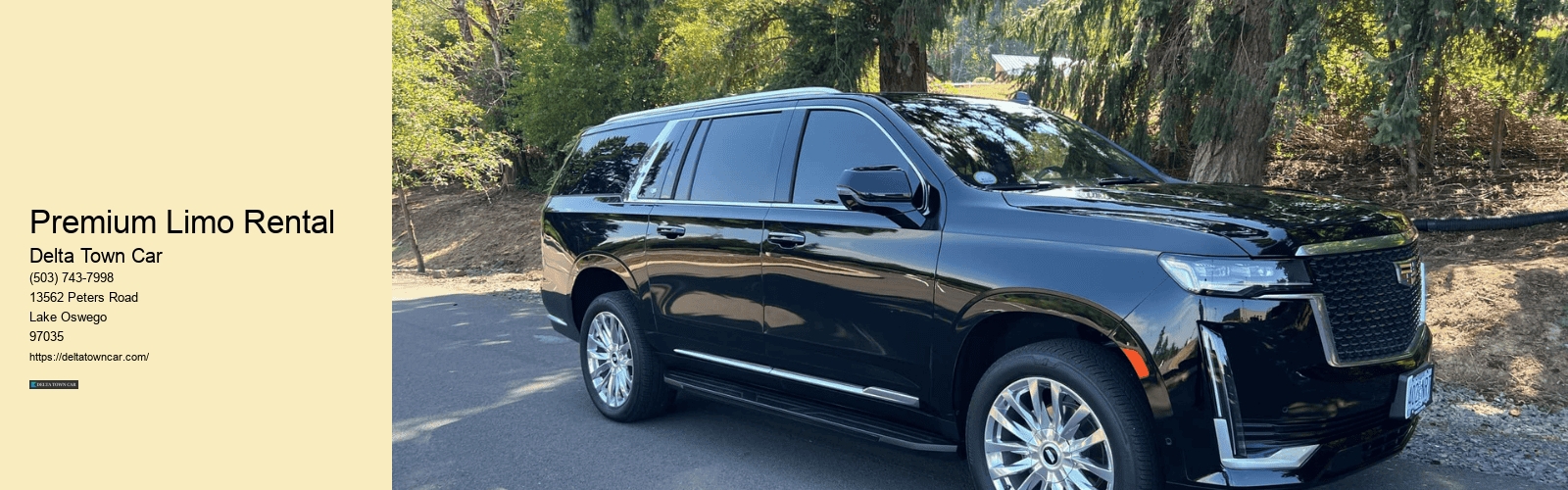 Premium Limo Rental