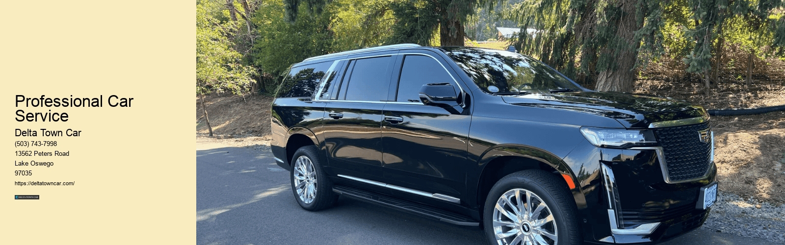 Professional Car Service