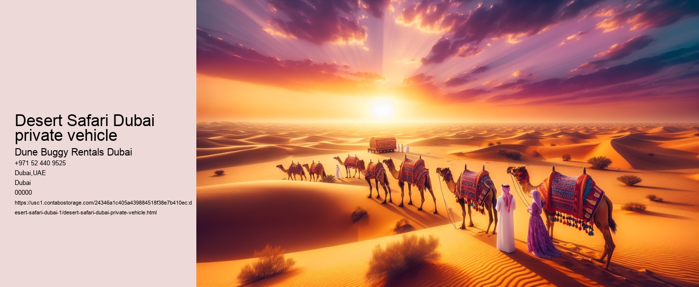 Desert Safari Dubai private vehicle