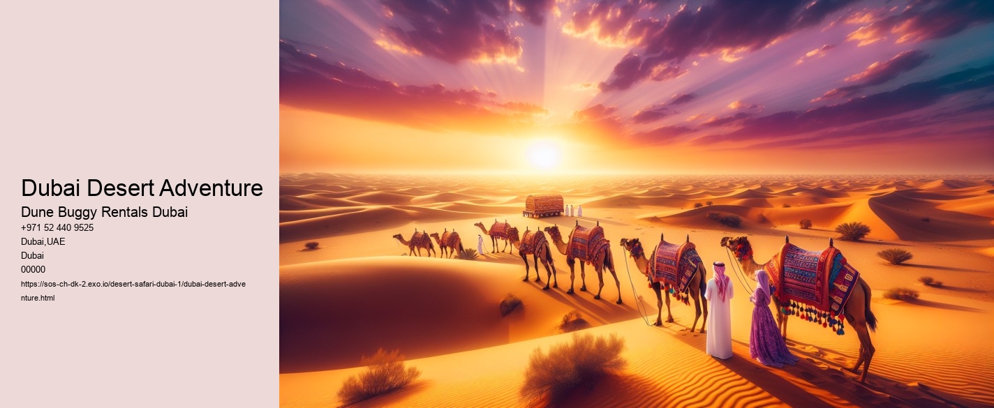 Dubai Desert Adventure