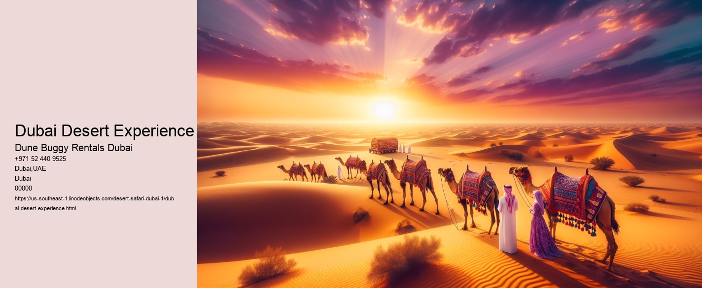 Dubai Desert Experience