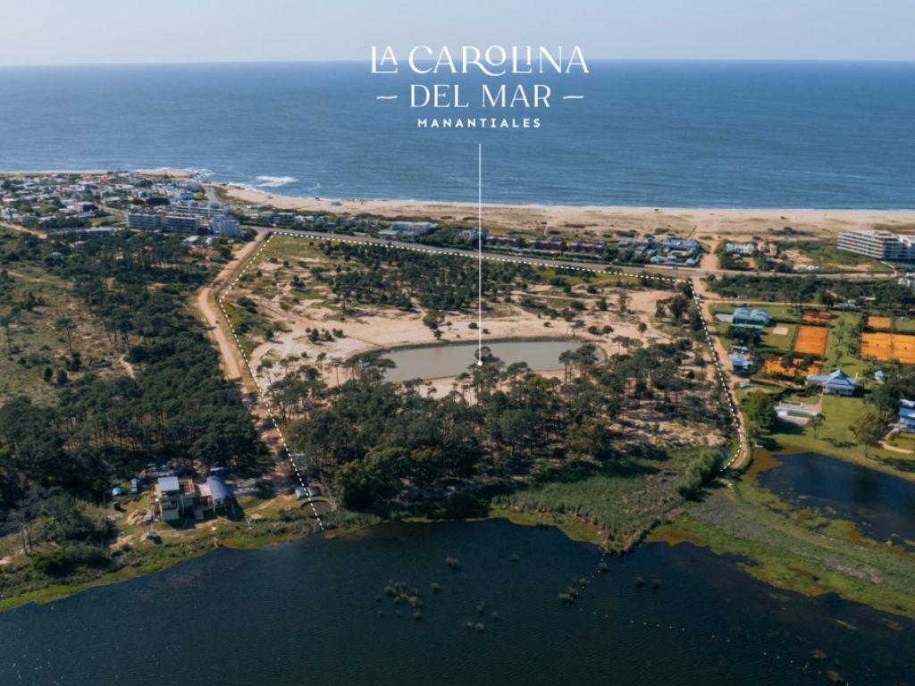 La Carolina del Mar - Photo 2