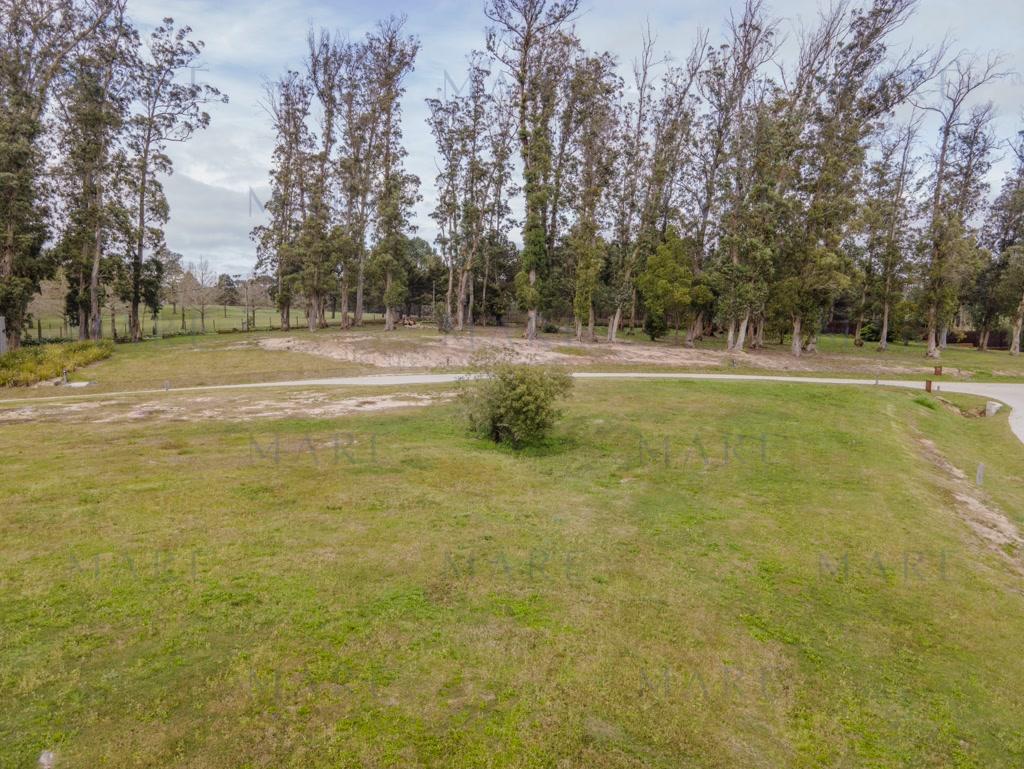 Spectacular 1,000 m² plot of land in Aura - Golf, Punta del Este - Photo 9