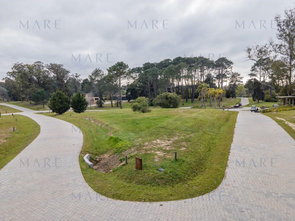 Spectacular 1,000 m² plot of land in Aura - Golf, Punta del Este - Photo 6
