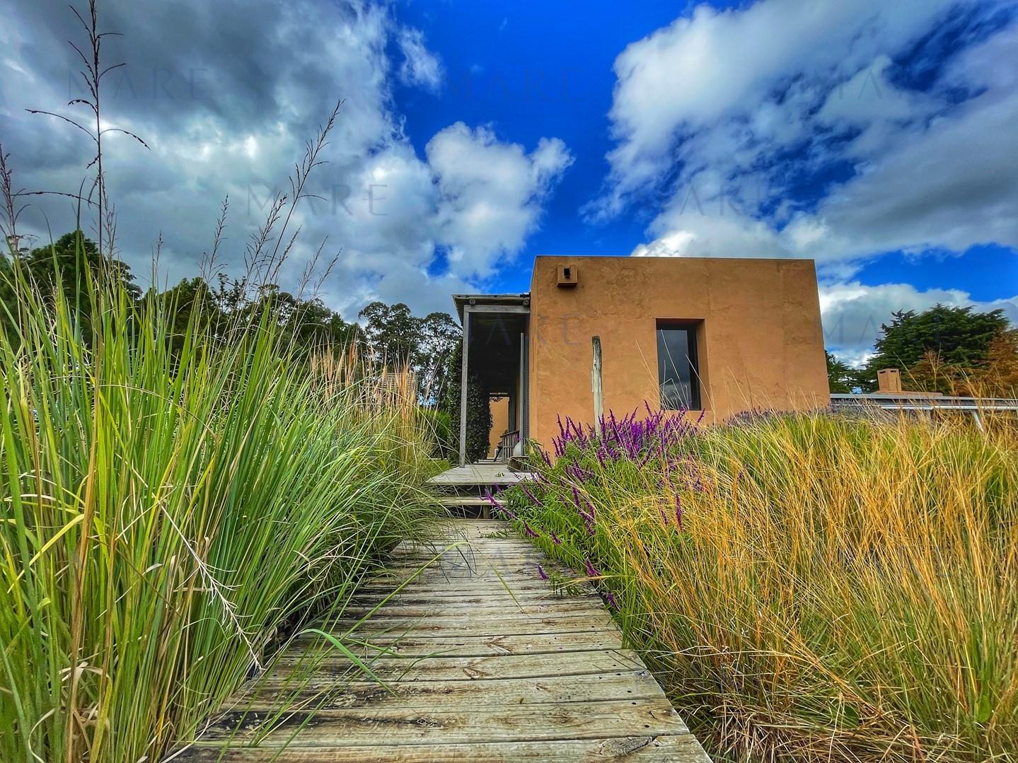 Spectacular 5.5 Hectare Farm with 80 Meter Swimming Pool - Punta Ballena - Photo 51