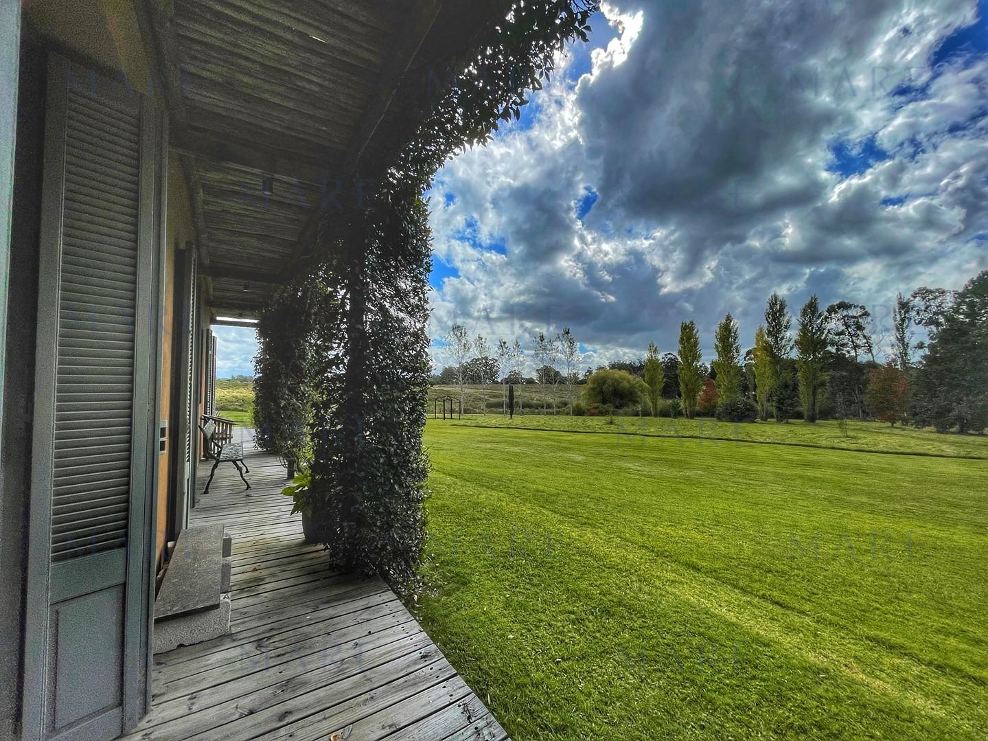 Spectacular 5.5 Hectare Farm with 80 Meter Swimming Pool - Punta Ballena - Photo 11