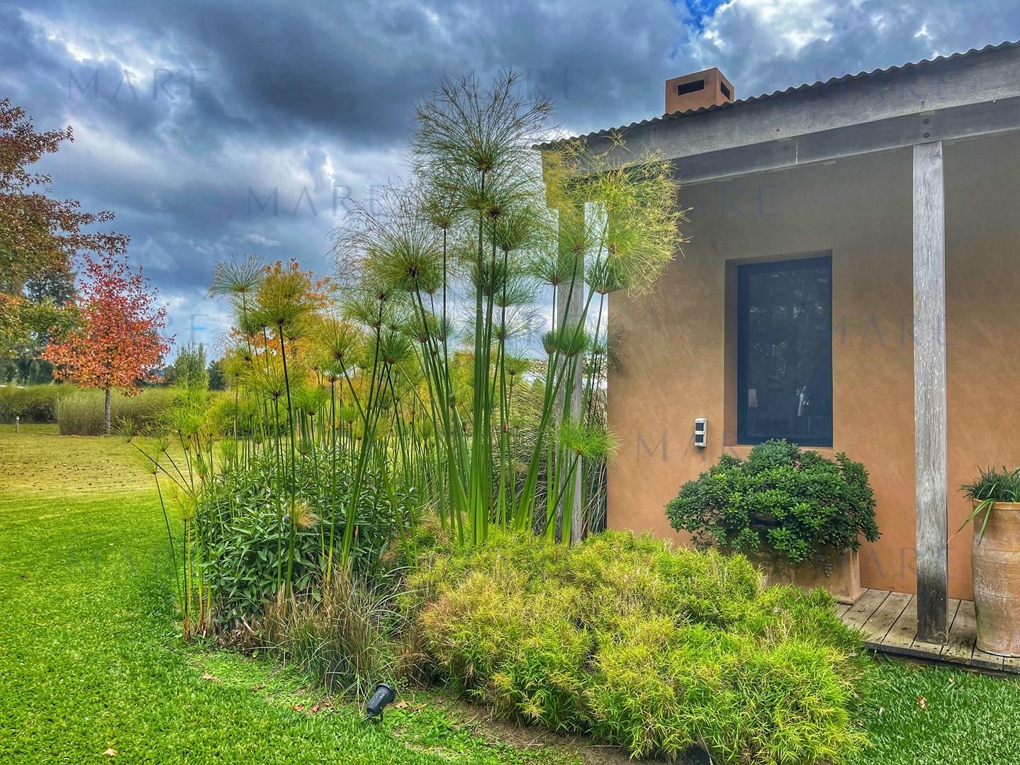 Spectacular 5.5 Hectare Farm with 80 Meter Swimming Pool - Punta Ballena - Photo 59