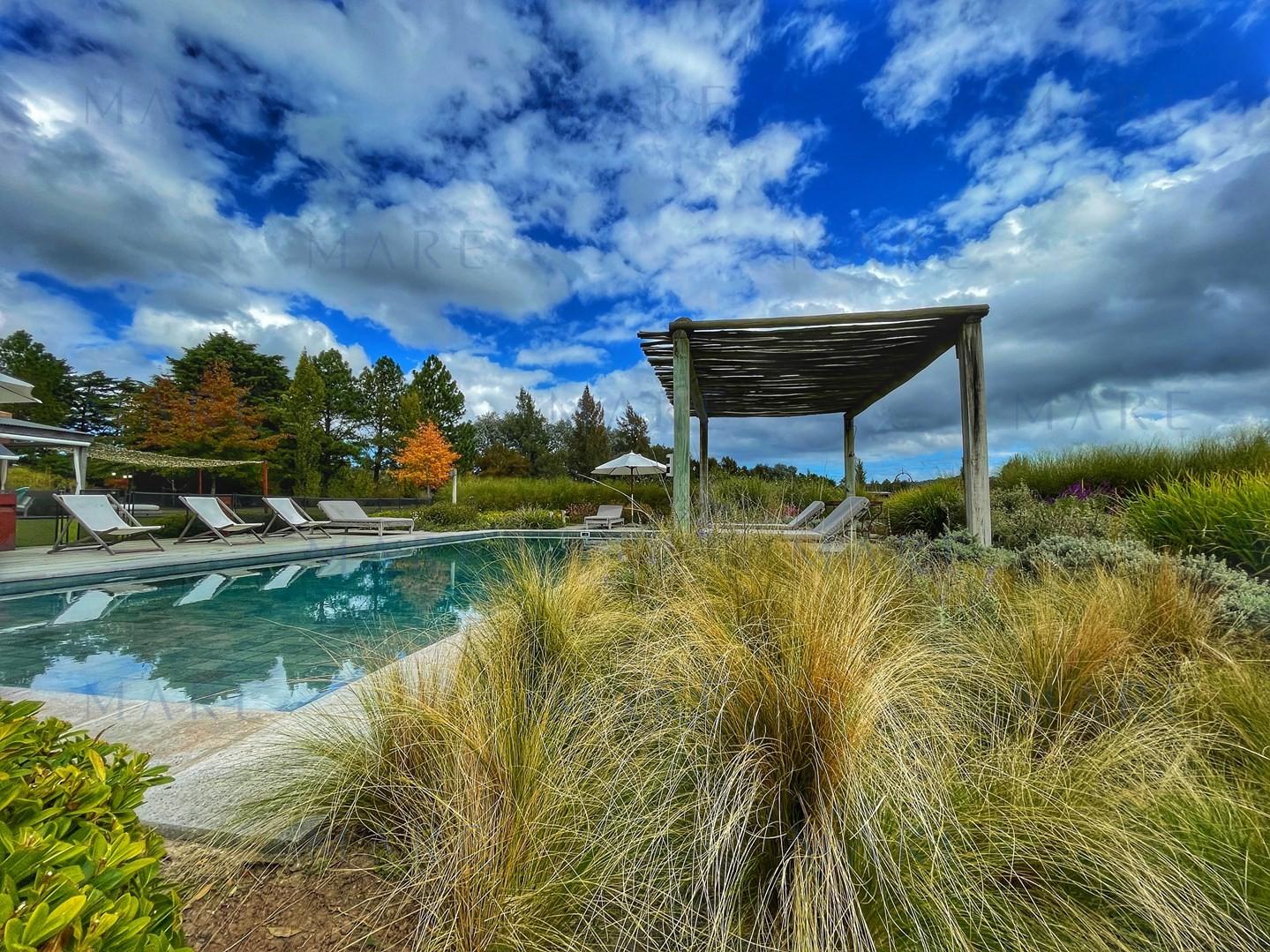 Spectacular 5.5 Hectare Farm with 80 Meter Swimming Pool - Punta Ballena - Photo 53