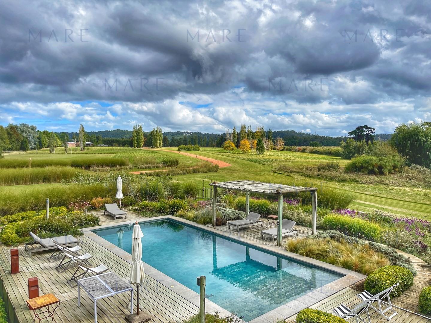 Spectacular 5.5 Hectare Farm with 80 Meter Swimming Pool - Punta Ballena - Photo 4