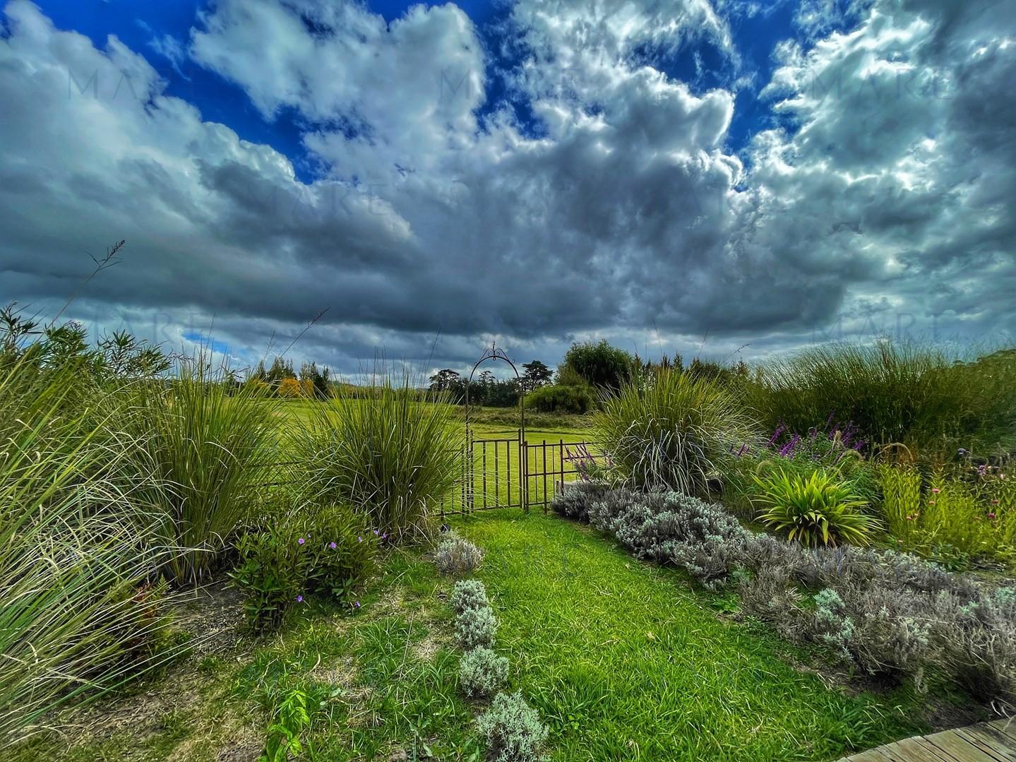Spectacular 5.5 Hectare Farm with 80 Meter Swimming Pool - Punta Ballena - Photo 48