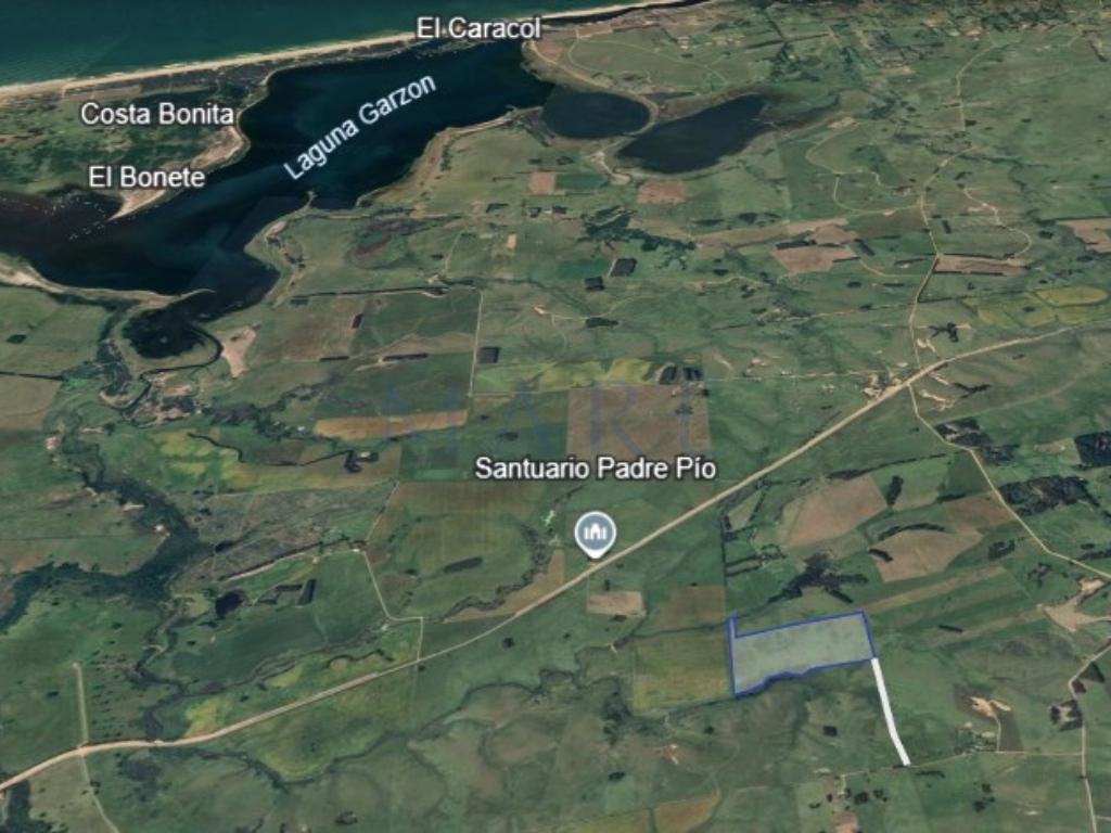 39 hectares of land in Garzón - Photo 11
