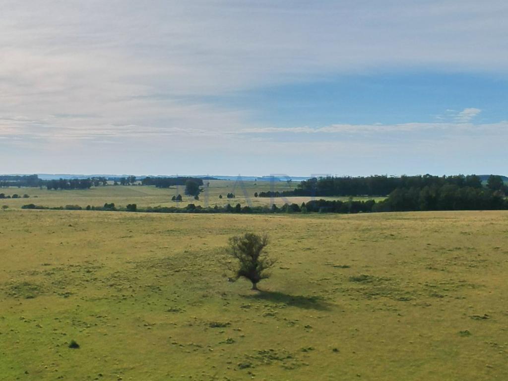 39 hectares of land in Garzón - Photo 7