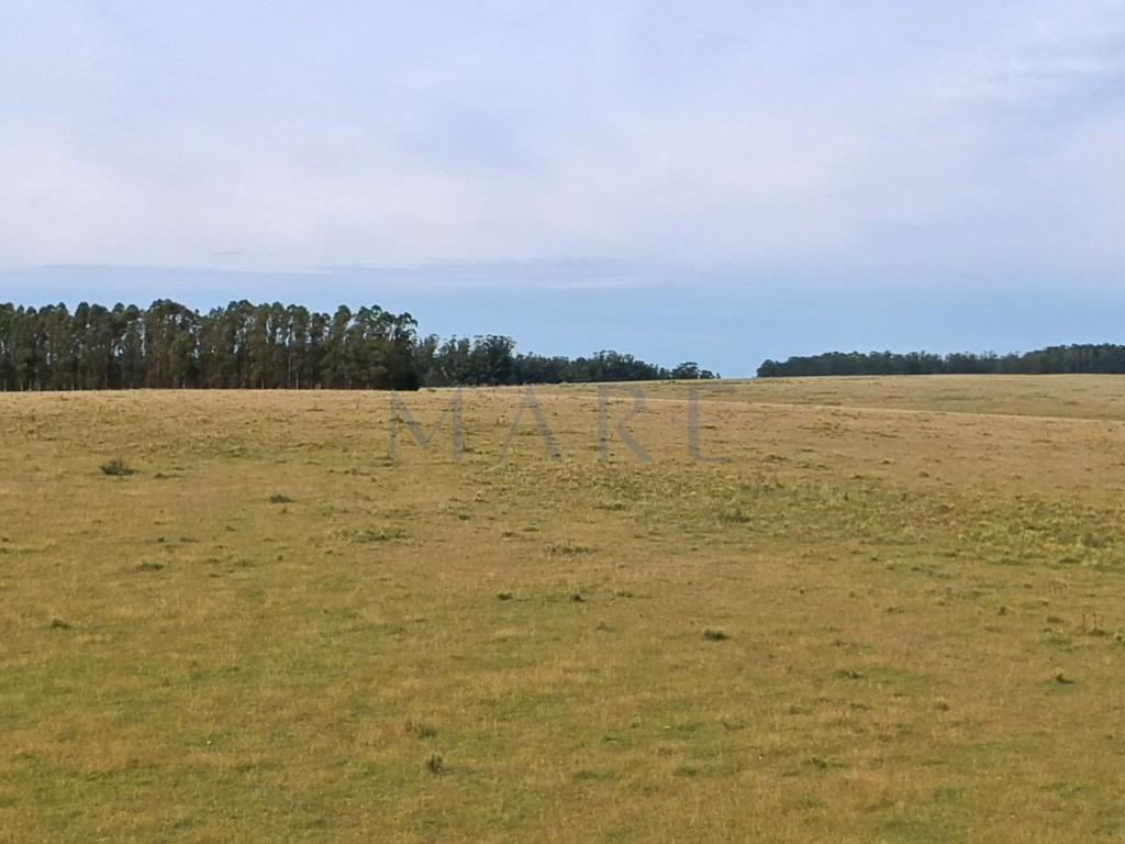 39 hectares of land in Garzón - Photo 5