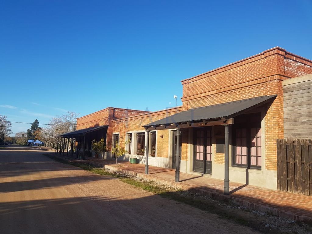 39 hectares of land in Garzón - Photo 14