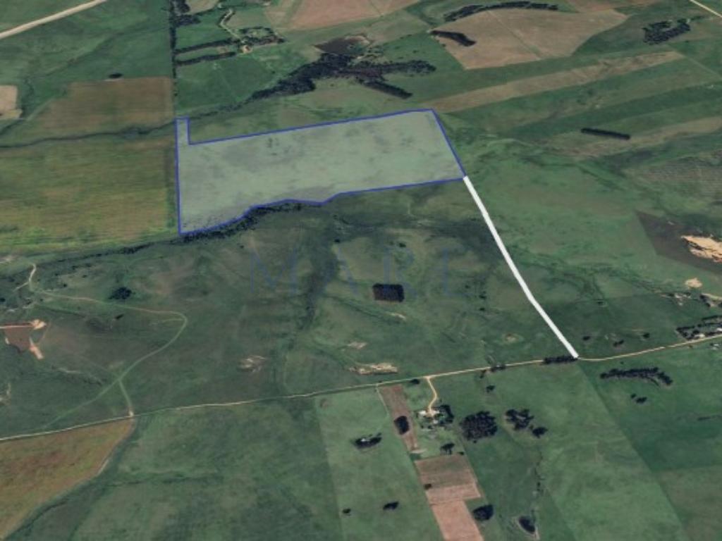 39 hectares of land in Garzón - Photo 10