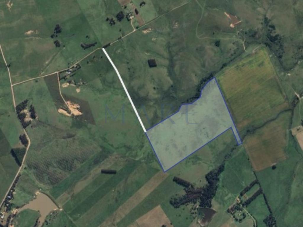 39 hectares of land in Garzón - Photo 9