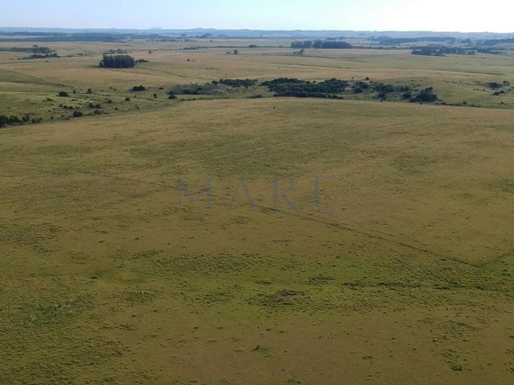 39 hectares of land in Garzón - Photo 12