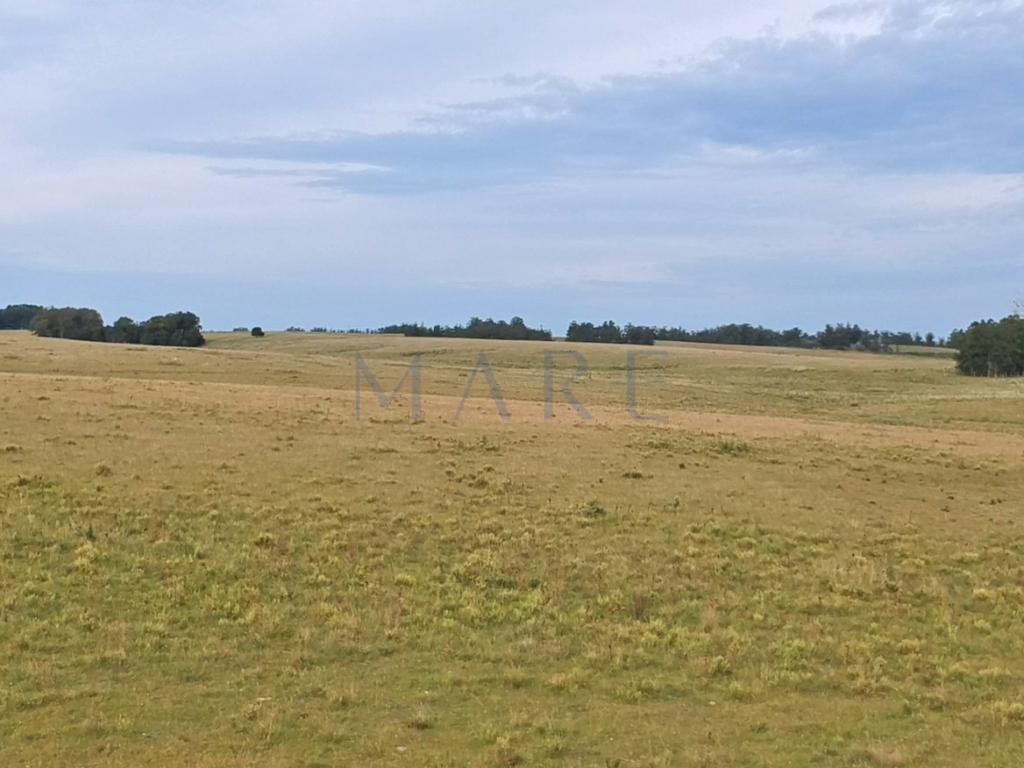 39 hectares of land in Garzón - Photo 8